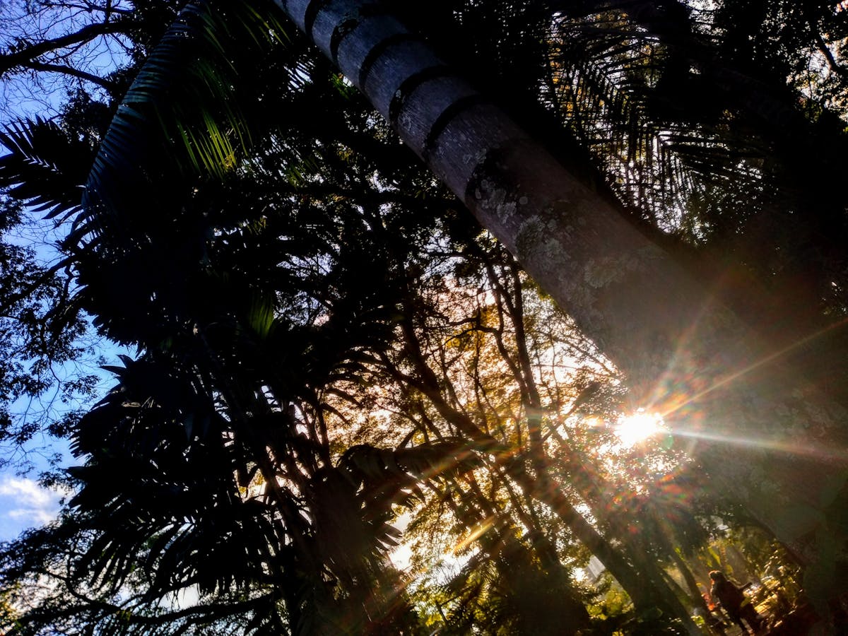 Detail Survey - City Surveyors Adelaide